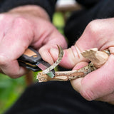 Wood Carver Whittling with the Flexcut Tri Jack Pro