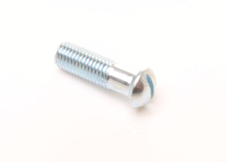 Stanley Lever Cap / Face Plate Screw